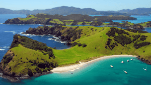 Bay of Islands Short Break Tour