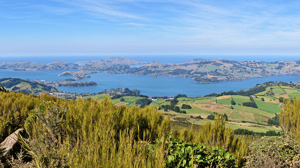 New Zealand Rail & Cruise Explorer