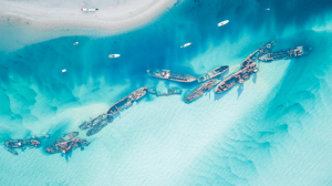 Discover Moreton Island Cruise