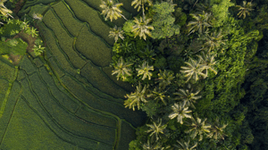 Southeast Asia Wonders (Feb 2028)