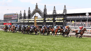 Melbourne Cup Cruise – Carnival Splendor