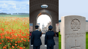 Experience the Western Front with Mat McLachlan
