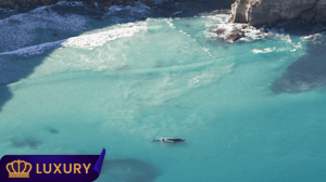 Small group journey across the Eyre Peninsula
