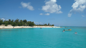 Lelepa Cruise & Beach Escape