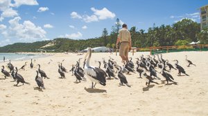 5-Day Coastal Escape to Tangalooma, Moreton Island