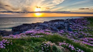 Sail Across British Isles (Jun 2027)