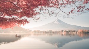 Cruise Singapore to Sydney on the Queen Elizabeth (Feb 2028) – via Japan, South Korea, Hong Kong, PNG & North QLD