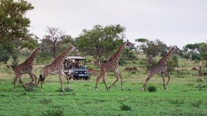 Hosted Tanzania Discovery – Small Group Adventure for Over-60s!
