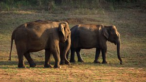 South India Uncovered: FULLY ESCORTED Over 60s Social Tour