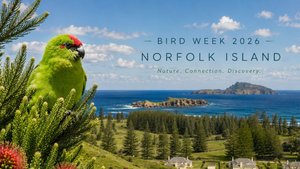 Birds of Norfolk Island 2026