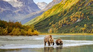 Japan’s scenic shores to Alaska’s wilderness exploration