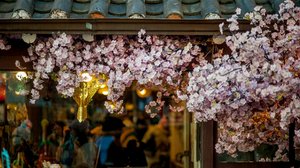 South Korea in Spring