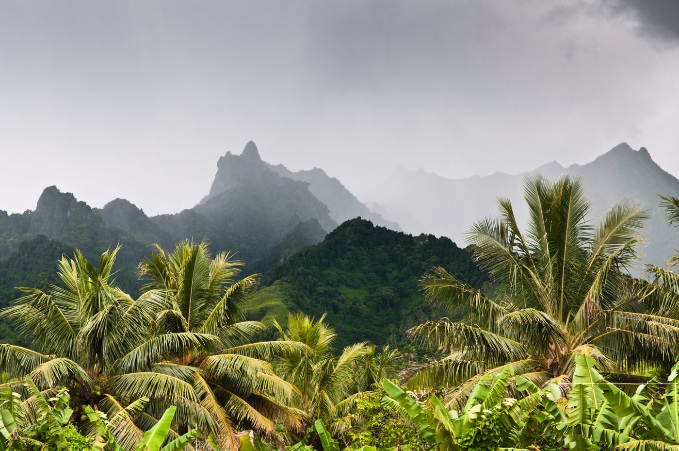 Misty mountains in Rarotonga, Cook Islands