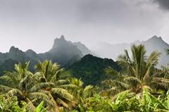 Misty mountains in Rarotonga, Cook Islands