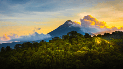 Arenal