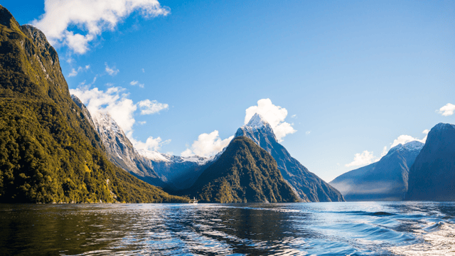 Aussie & Kiwi Mementos: Auckland to Sydney