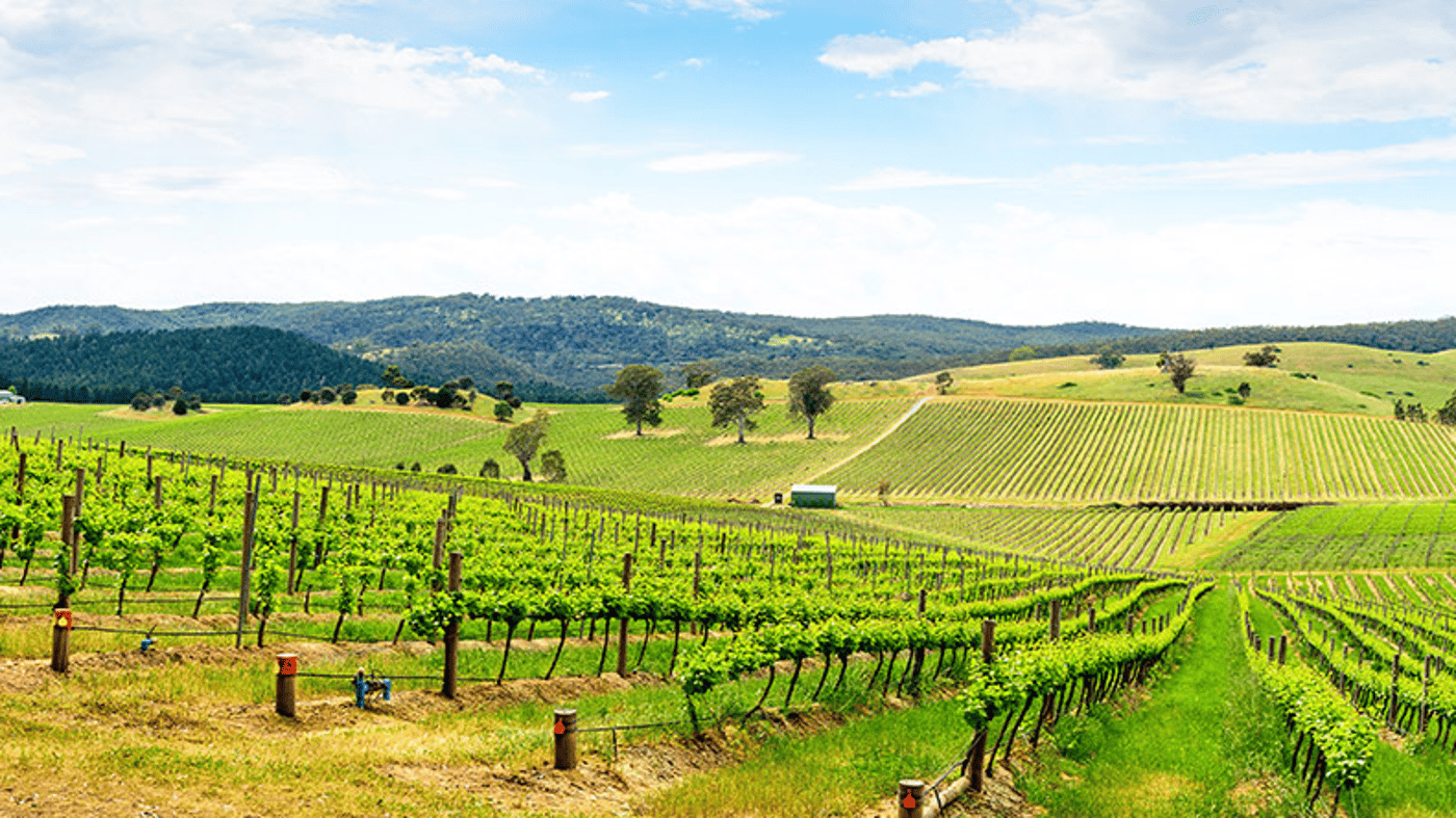Adelaide Barossa Valley