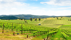 Adelaide Barossa Valley