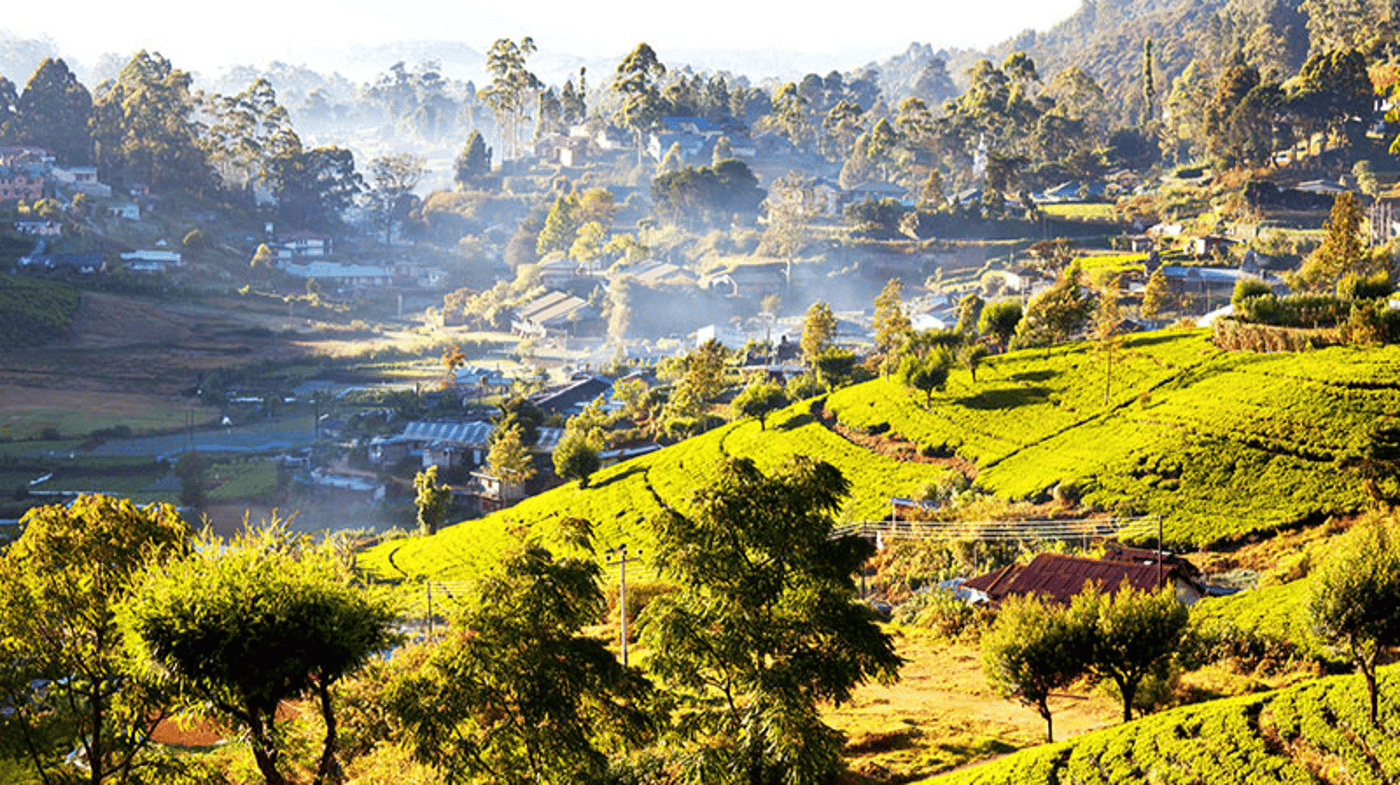 Nuwara Eliya