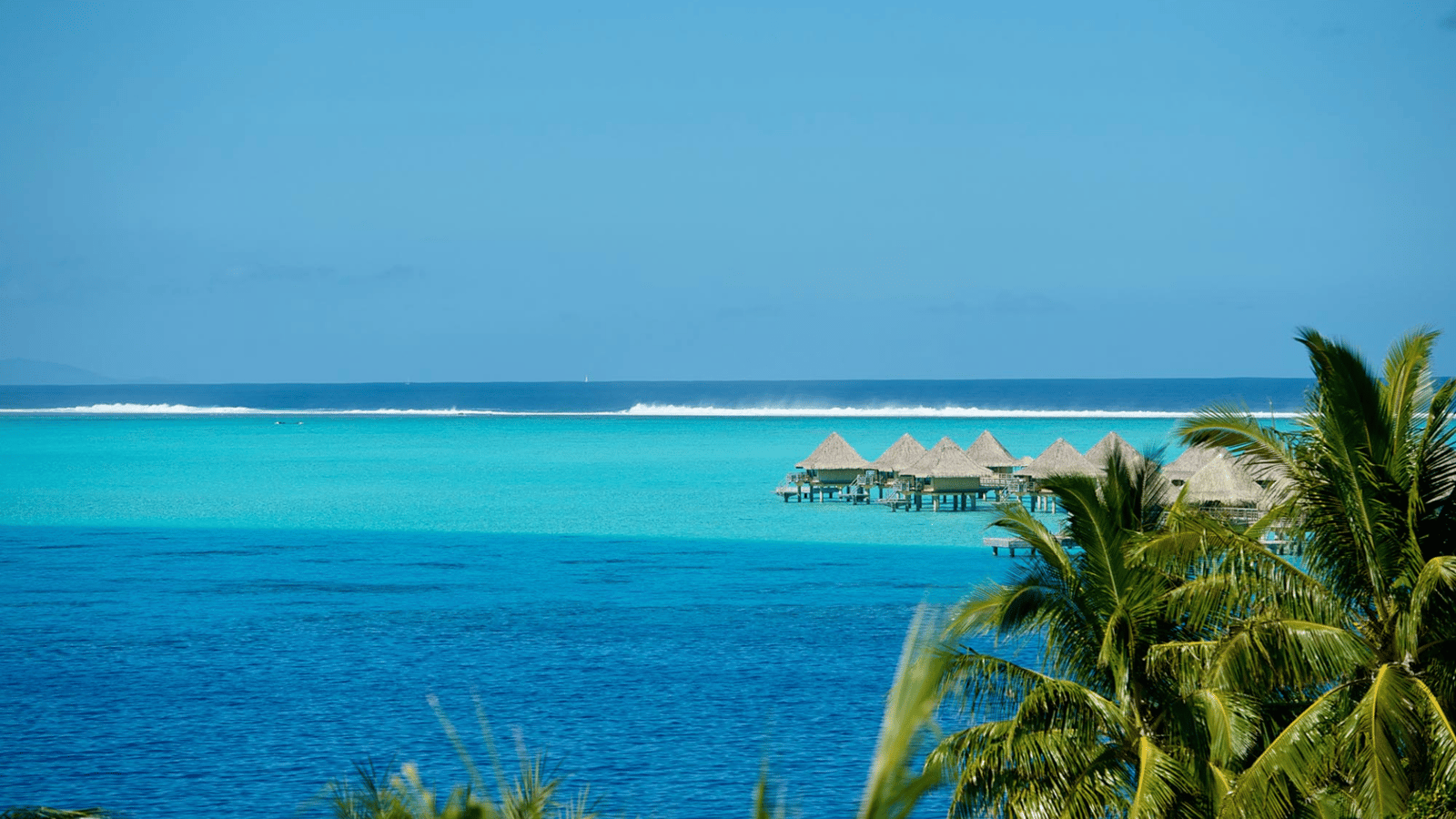 Bora Bora Flights 5 Star Stay In An Overwater Bungalow