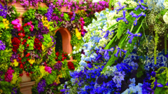 Chelsea Flower Show