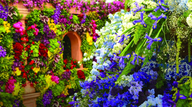Tour the Chelsea Flower Show & England's Country Gardens