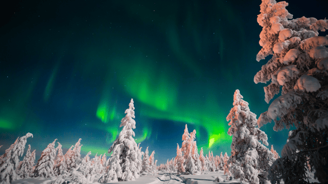 Hunt for Finland's Northern Lights