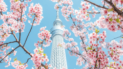 Tokyo, Japan