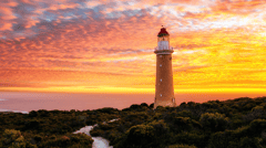 Kangaroo Island