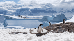 Antarctic Peninsula
