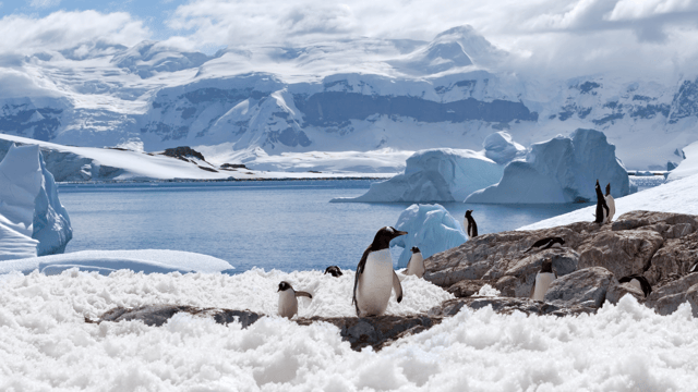 Antarctic & South American Wonders (Jan 2027)