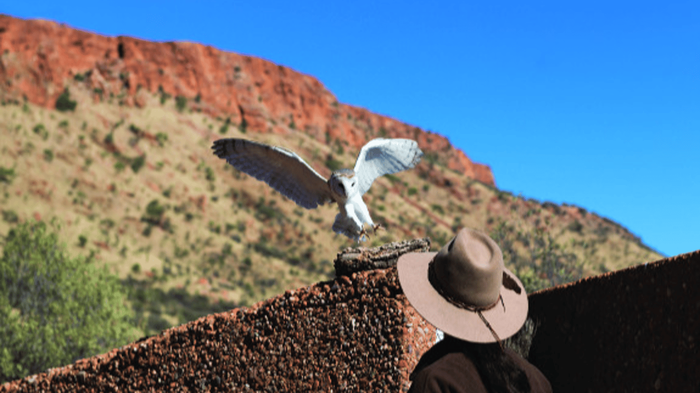 Alice Springs Desert Park