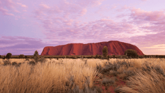 Uluru