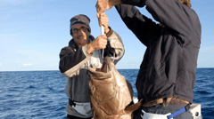 Love fishing? You'll feel right at home on Norfolk Island.