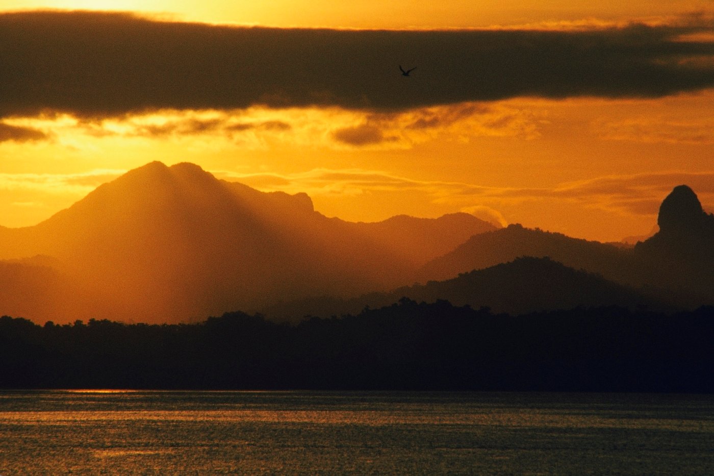 Suva, Viti Levu, Fiji Islands