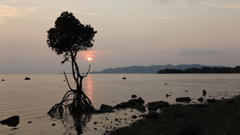 Ishigaki, Japan