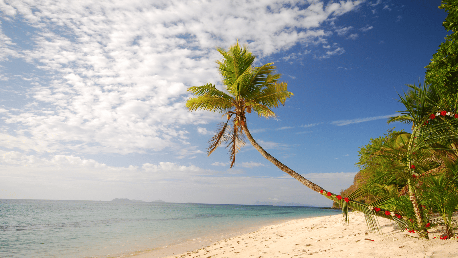 FLASH SALE Fiji, New Caledonia & Vanuatu Adventure Cruise (Brisbane or Sydney Return) Travel