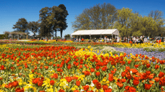 Floriade