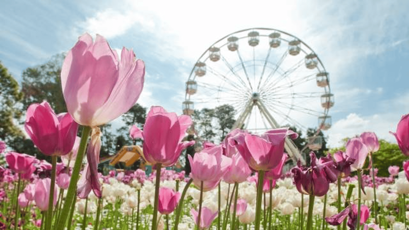Floriade
