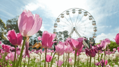 Floriade