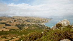 Dunedin (Port Chalmers), New Zealand