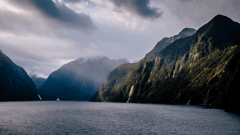 Fiordland National Park (Scenic Cruising) 