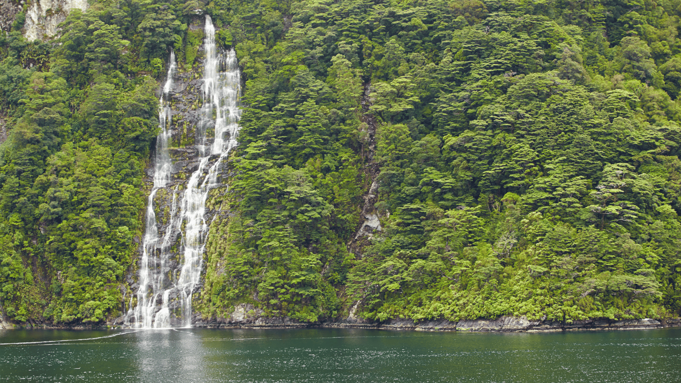 Fiordland National Park