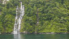 Fiordland National Park