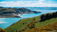 Dunedin (Port Chalmers), New Zealand