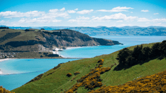 Dunedin (Port Chalmers), New Zealand