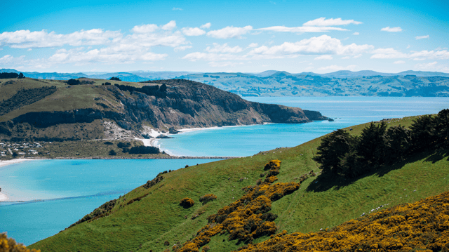 Cruise New Zealand (Jan 2028)