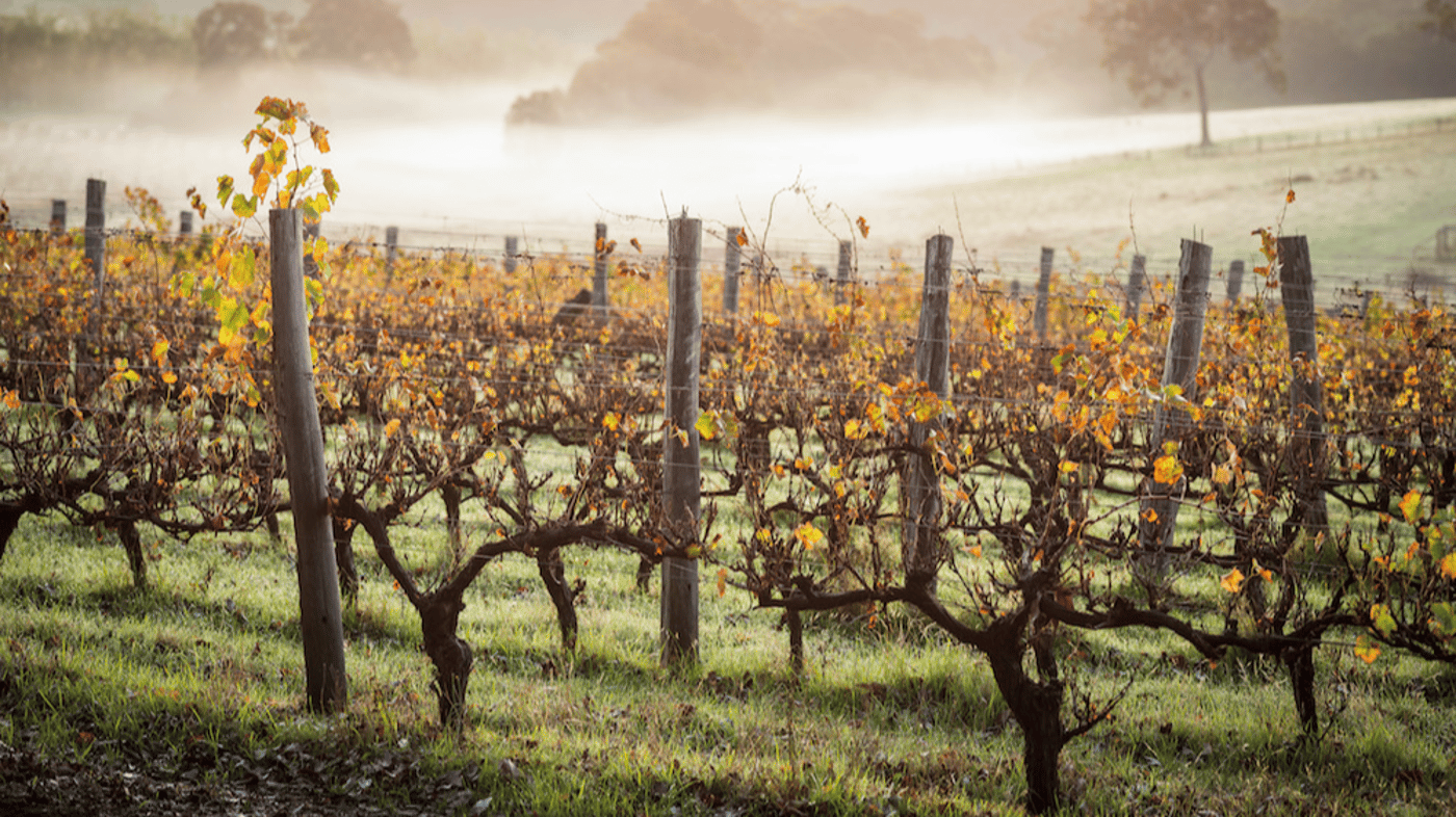 Margaret River winery