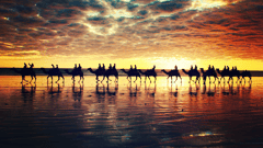 Cable Beach at sunset