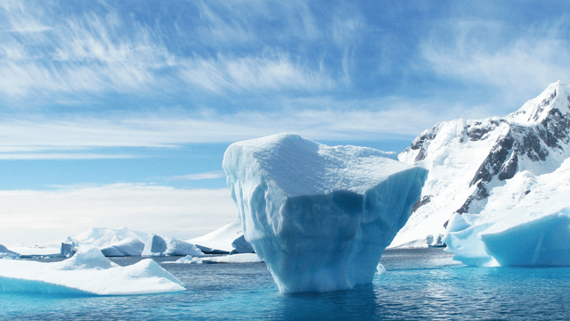 Cruise Antarctica in small ship comfort